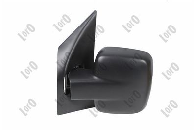 Exterior Mirror 2437M01