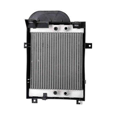 RADIATOR RACIRE MOTOR NISSENS 607292 2
