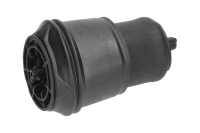 Въздушна възглавница, окачване Kavo Parts SAS-10024