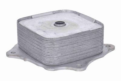 RADIATOR ULEI ULEI MOTOR