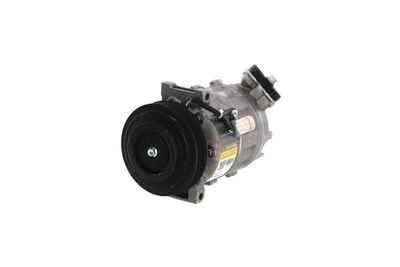 COMPRESOR CLIMATIZARE REMANTE 005001000075R 6