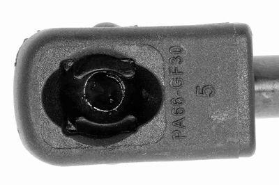 GASFEDER KOFFER-/LADERAUM VAICO V202875 1