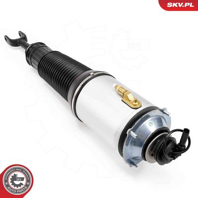 Air Suspension Strut 58SKV701