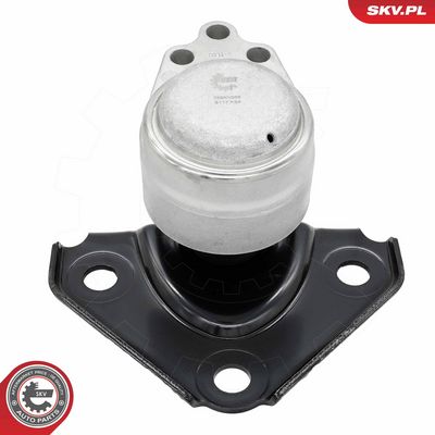 окачване, двигател ESEN SKV 75SKV256