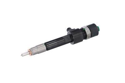 INJECTOR REMANTE 002003001688R 9