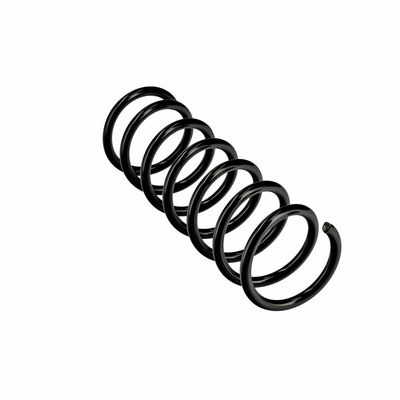 ARC SPIRAL EIBACH R10838 11