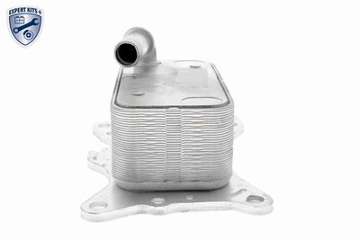 RADIATOR ULEI ULEI MOTOR VEMO V30600007 4