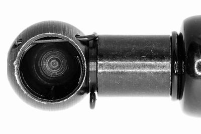 GASFEDER KOFFER-/LADERAUM VAICO V950402 2