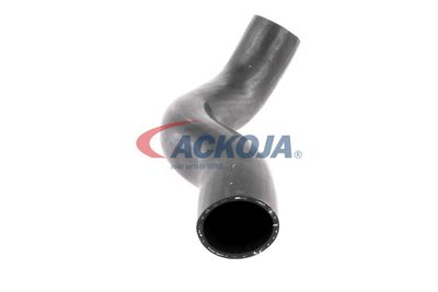 FURTUN EAR SUPRAALIMENTARE ACKOJA A380307 48