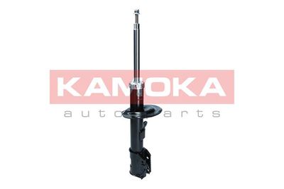 Shock Absorber 2000574