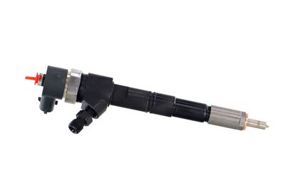 INJECTOR REMANTE 002003001674R 41