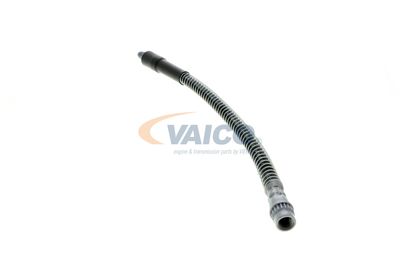 FURTUN FRANA VAICO V464113 20