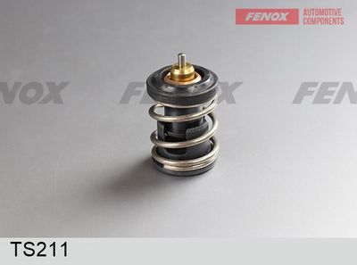 термостат, охладителна течност FENOX TS211