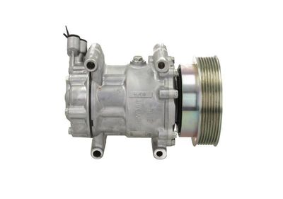 COMPRESOR CLIMATIZARE BV PSH 090575052876 3