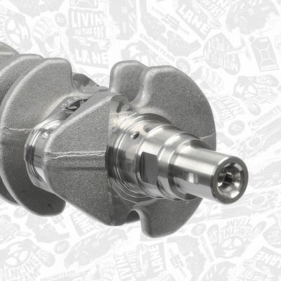 ARBORE COTIT ET ENGINETEAM HK0193 4