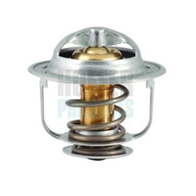 TERMOSTAT LICHID RACIRE