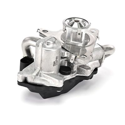 SUPAPA EGR DELPHI EG1055212B1 24