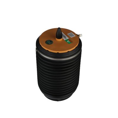 LUFTFEDER FAHRWERK Arnott A3891 68