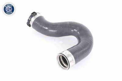 FURTUN EAR SUPRAALIMENTARE VAICO V301799 5