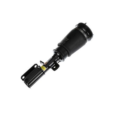 LUFTFEDERBEIN Arnott AS2764 61