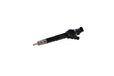 INJECTOR REMANTE 002003001489R 62