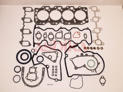 ASHIKA Dichtungsvollsatz, Motor