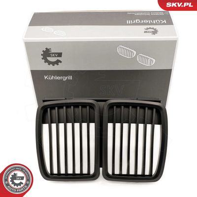 GRILA RADIATOR ESEN SKV 66SKV147 6