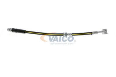 FURTUN FRANA VAICO V404110 40