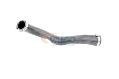 LADELUFTSCHLAUCH VAICO V103817 11