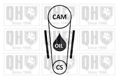 SET CUREA DE DISTRIBUTIE QUINTON HAZELL QBK904 1