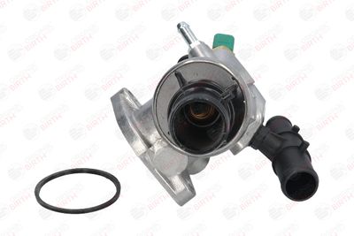 FLANSA LICHID RACIRE BIRTH 80007 11