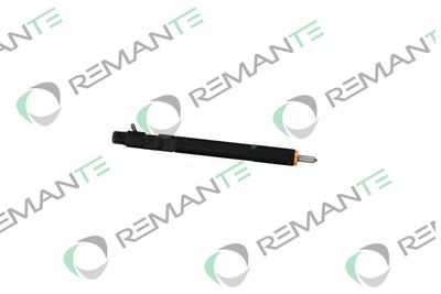 INJECTOR REMANTE 002003002166R 3