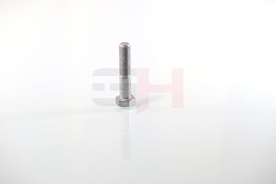 SURUB CAPAT DE AX GH GH392360 56