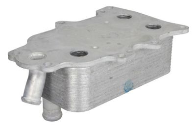 RADIATOR ULEI ULEI MOTOR THERMOTEC D4G020TT 1