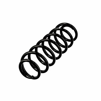 ARC SPIRAL EIBACH R10403 15