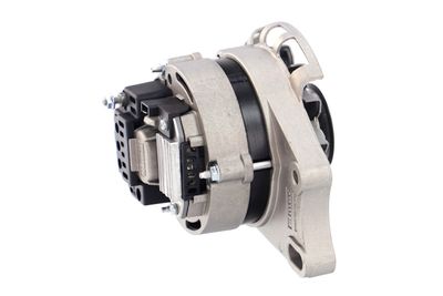 GENERATOR / ALTERNATOR REMANTE 011003000073R 39