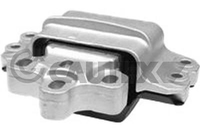 CAUTEX 774621 Подушка двигателя  для AUDI TT (Ауди Тт)