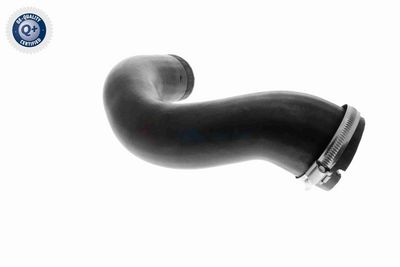 FURTUN EAR SUPRAALIMENTARE VAICO V104816 6