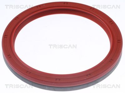 SIMERING ARBORE COTIT TRISCAN 855010076 1