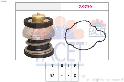 TERMOSTAT LICHID RACIRE FACET 77976