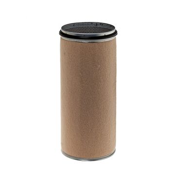 Secondary air filter