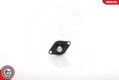 SUPAPA REGLAJ MERS IN GOL ADMISIE AER