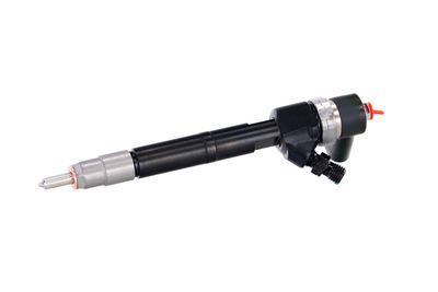 INJECTOR REMANTE 002003001100R 7