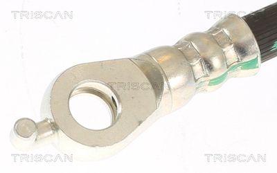 Furtun frana TRISCAN 8150 13274