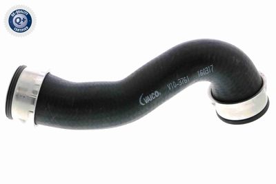 FURTUN EAR SUPRAALIMENTARE