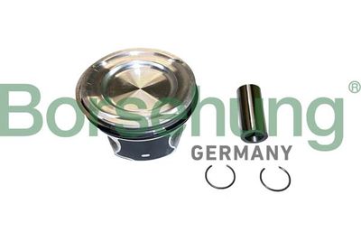 SET SEGMENTI PISTON Borsehung B11148