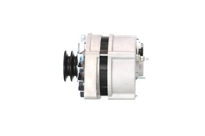 GENERATOR / ALTERNATOR REMANTE 011003000025R 17