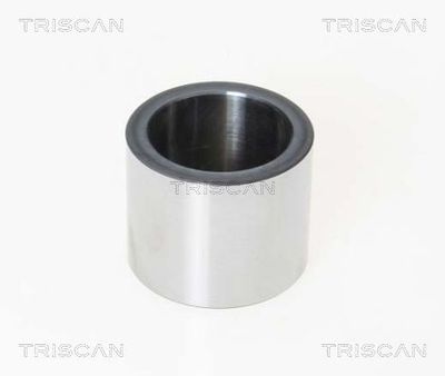 TRISCAN 8170 231582 Комплект направляющей суппорта  для IVECO (Ивеко)