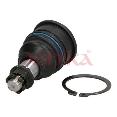 Trag-/Führungsgelenk