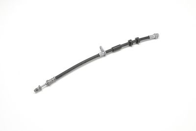 FURTUN FRANA ATE 24513404153 24